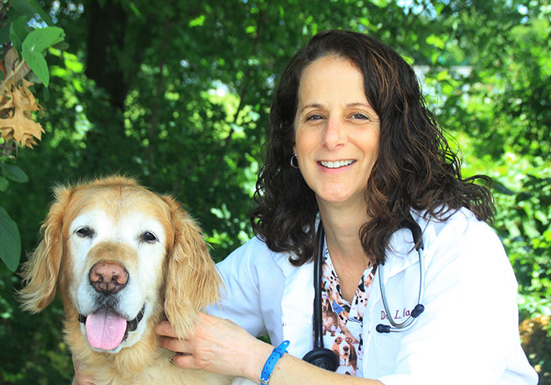 Veterinarian Staff Gambrils, Crofton, Ft. Meade, Odenton, Bowie | Prime Care Animal Hospital